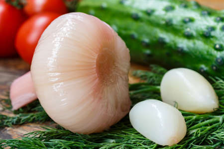Pickled garlic, cherry tomatoes, dill and cucumberの写真素材
