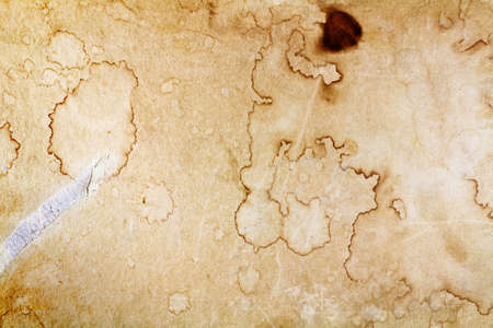 Vintage yellowed paper texture with spots. Abstract backgroundの写真素材