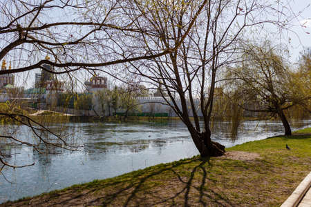 Novodevichy convent, view from the Bolshoi Novodevichy pond. Moscow, Russiaの写真素材