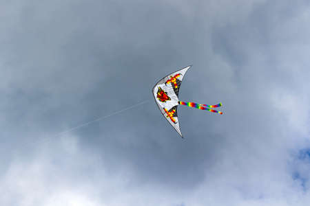 Flying kite on the cloudy blue sky backgroundの写真素材