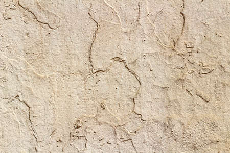 Pink concrete wall with dirty spots and scratches. Abstract backgroundの写真素材