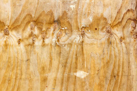 Scratched surface of a sheet of birch plywood with traces of white paint. Natural wood texture. Abstract backgroundの写真素材