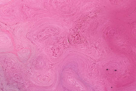 Concrete wall texture painted in pink color. Abstract background