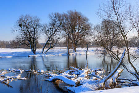 Snow-covered tree trunks lying on the surface of the winter riverの写真素材