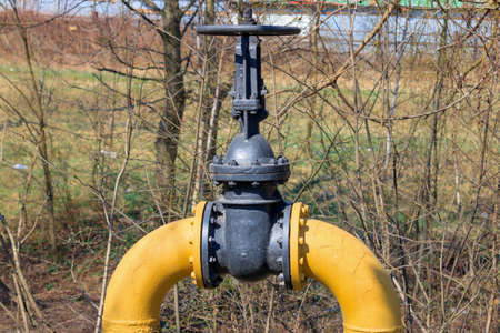 Yellow pipe for transporting domestic gas with valve on the background of trees
