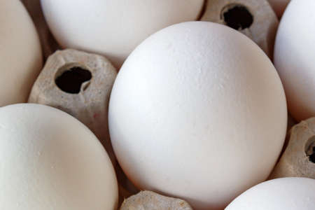 White chicken egg in paper tray closeup