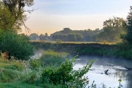 Steep bank of a small river against green trees at dawn on a summer morning. River landscape