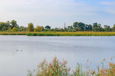 Water surface of a lake in sunny autumn morning against blue sky. Nature landscape