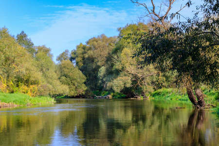 View of river surface with green trees on shores on a background of blue sky. River landscape in...