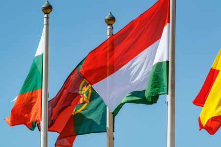 Flag of Hungary on the flagpole on a background of flags of different countries and blue sky