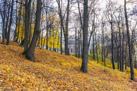 Moscow, Russia - October 16, 2019: Hillside covered by colored fallen leaves in Tsaritsyno Park in Moscow. Tsaritsyno Park landscape in sunny autumn dayのeditorial素材