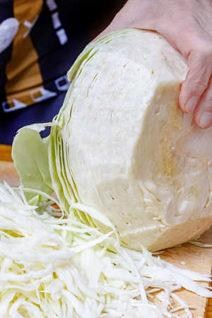 Female hand holding part of head of fresh white cabbage on the wooden cutting board against shredded cabbageの写真素材
