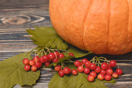 pumpkin with berries on wooden background. Fall Conceptの写真素材