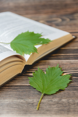Open Book on Wooden Desk with Autumn Leaves Close up. Education Conceptの写真素材