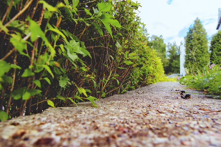 A walk in the autumn woods. Golden autumn. The colorful trees. Wildlife of Siberia.の写真素材