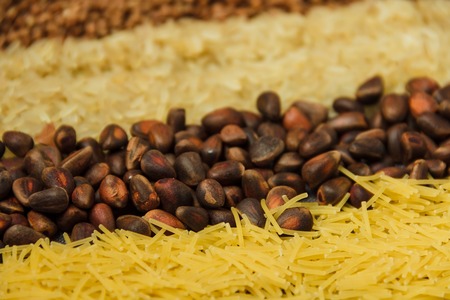 Collage of various meal backgroundsの写真素材