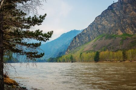 landscape with mountains, forest and a river in front. beautiful scenery