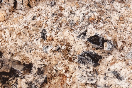 Burned out ashes grunge textureの写真素材