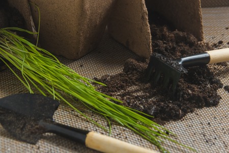 Preparing for Seasonal Transplantation of Plant, Ingardening. Product Still Life Image. Planting in Garden Concept.の写真素材