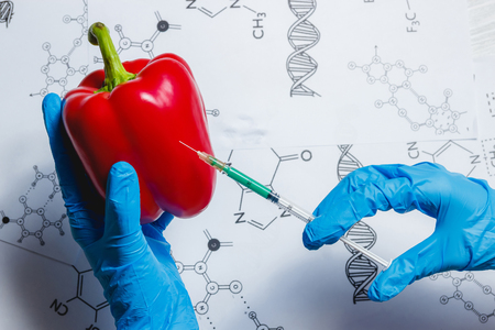 GMO Scientist Injecting Green Liquid from Syringe into Red Pepper - Genetically Modified Food Concept.の写真素材