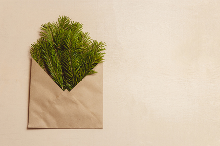 Top view green fir tree branches in brown craft envelope on brown color wood backgroundの写真素材
