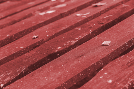 Autumn Leaves and fir over wooden background.With copy spaceの写真素材