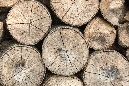 Timber texture background for decorateの写真素材