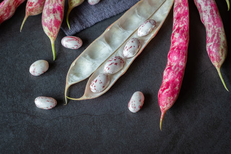 Borlotti beans with napkin on a dark stone background close up. Healthy eating. Diet concept. Flat...