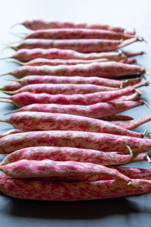 Young pods of red beans in a row on a dark stone background close up. Healthy food. Diet concept. Flat layの写真素材