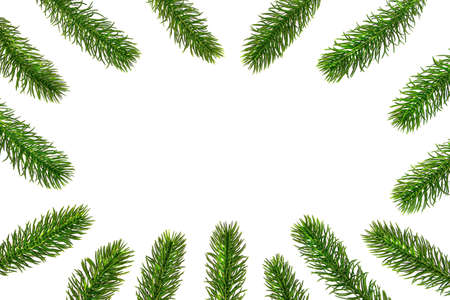 Happy New Year. Christmas composition from frame of spruce branches on a white background close up....