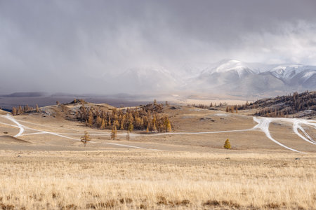 Majestic autumn mountain landscape. Valley with golden trees, white snowy mountains and clouds in the background, sunset in Kurai steppe, North-Chuya mountain range, Altaiの写真素材
