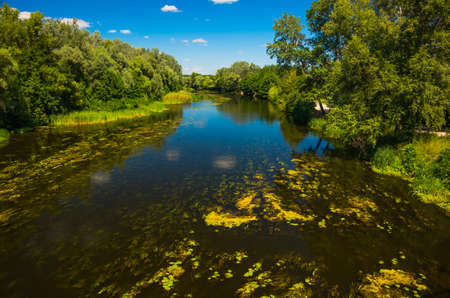 Sunny day on the quiet river in summer in Ukraineの写真素材