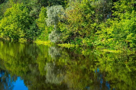 Sunny day on the quiet river in summer in Ukraineの写真素材