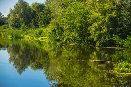 Sunny day on the quiet river in summer in Ukraineの写真素材