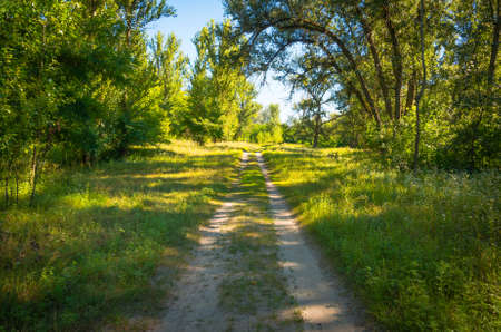 Sunny day on the quiet river in summer in Ukraineの写真素材