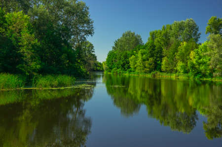Sunny day on the quiet river in summer in Ukraineの写真素材