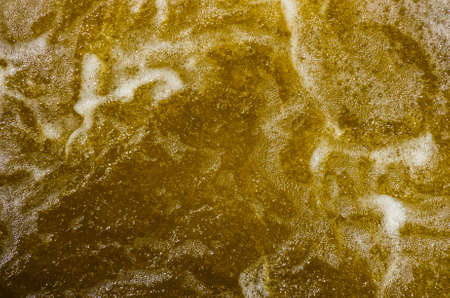 Beer bubbles in the high magnification and close-up.の写真素材