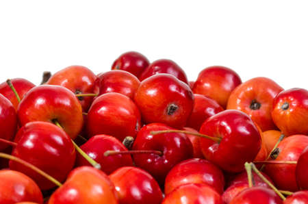 beautiful red paradise apples on an isolated white backgroundの写真素材