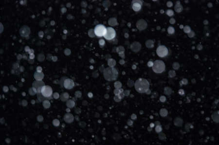 Winter background. falling snow isolated on pure black background