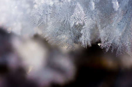 Snow and iny winter day close background