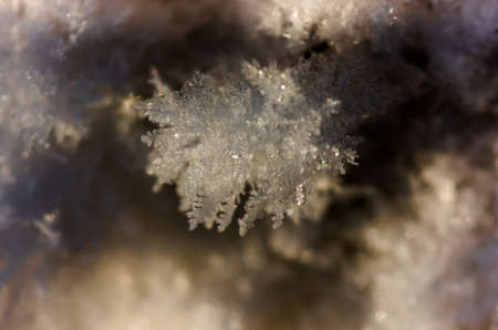 Snow and iny winter day close backgroundの写真素材