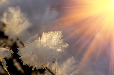 Snow and iny winter day close background