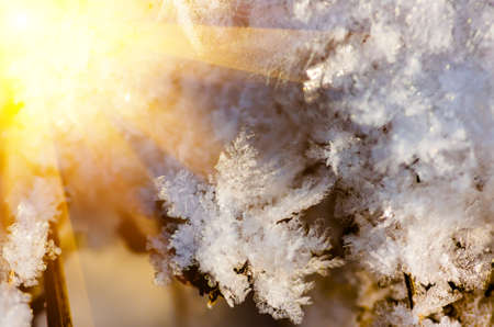 Snow and iny winter day close background