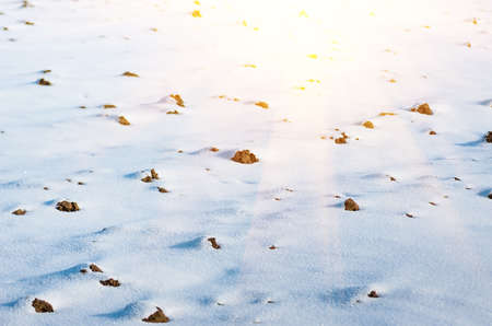 Prepared for spring field work the arable land in the snowの写真素材