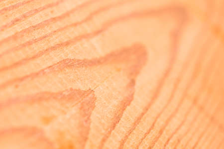 Texture of pine wood planks to lie down for a long time in the waterの写真素材