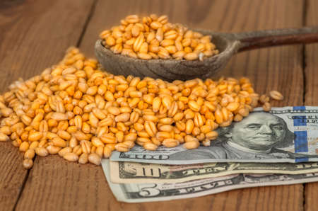 Golden ripe organic wheat on dollar bills
