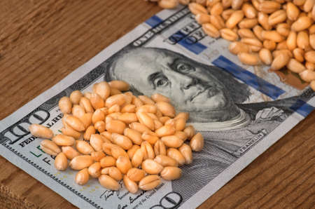 Golden ripe organic wheat on dollar bills