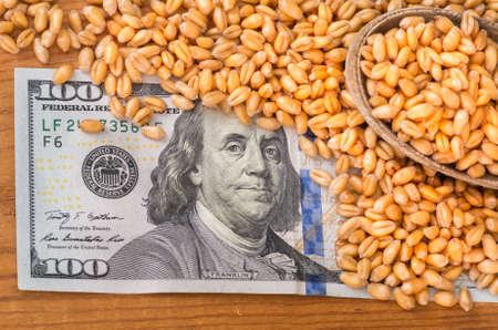 Golden ripe organic wheat on dollar billsの写真素材