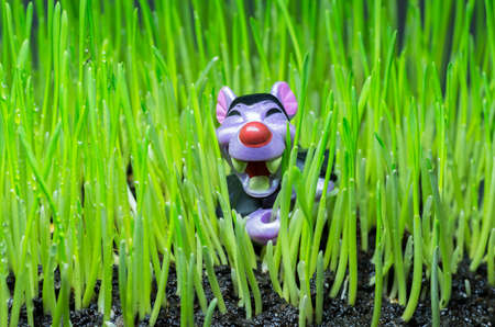Children's toy among young green shoots of grass