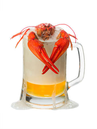 lobster crawls out from a mug with beerの写真素材
